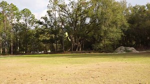 8.8K views · 126 reactions | Kyle going over the new SAB Goblin 500 Sport 2018! #SAB #Goblin #SABUSA | SAB Heli Division USA | Facebook