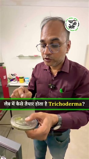 How is Trichoderma used in Farming made and multiplied in Microbiology labs ? #agriscience