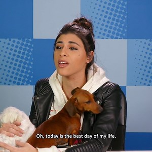 239K views · 448 shares | It is impossible to not go "awwww" at puppies. | REACT | Facebook