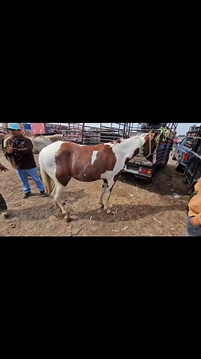 Hunter Vlogs on Reels