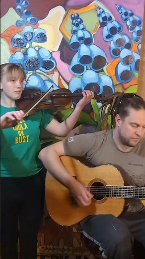 The Good Old Hockey Game by Stompin' Tom Connors Violin and Guitar Cover