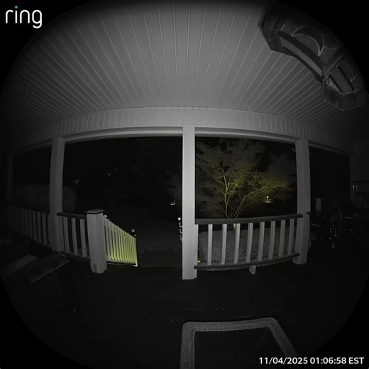 Orbs caught on Ring Cam