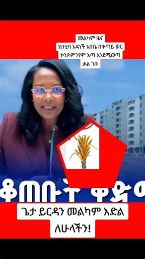 ሰበር፣ ኮንዶምንየም ቀጣይ ወር ይወጣል ተባለ
