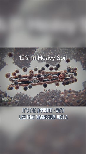 Look for 12% to 20% magnesium on your base saturation test. | Ag PhD