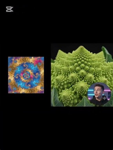 mandelbrot set