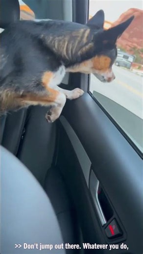 Unlock the Secrets of 2022 Social Media Success for Epic Viral Growth #DigitalTrends