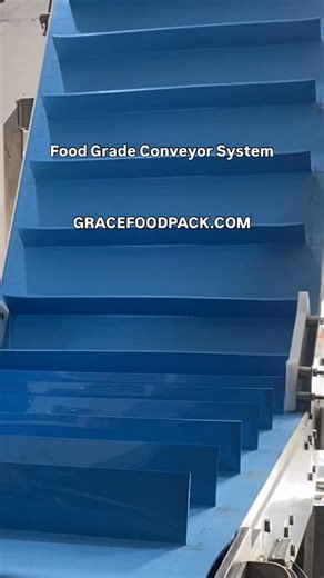 Food Grade Conveyor system by GRACE Contact us for your requirements for Conveyors | Grace Food Processing & Packaging Machinery