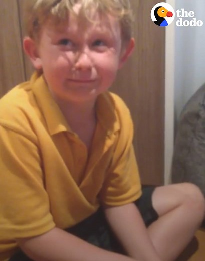 369K views · 10K reactions | This kid was just surprised with a new puppy — and he can't EVEN ❤️ | The Dodo | Facebook