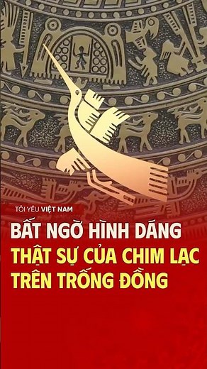 Chim Lạc trống đồng – Bí ẩn hình dáng thật gây bất ngờ