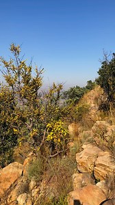 3.2K views · 33 reactions | HARTIES RIVER HIKING TRAIL | BeeHive Cafe | Facebook