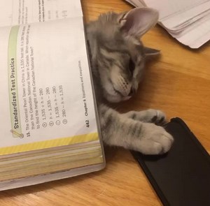 Cuentas recomendadas