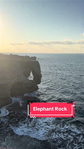 Exploring Cape Manzamo: The Elephant Rock in Okinawa
