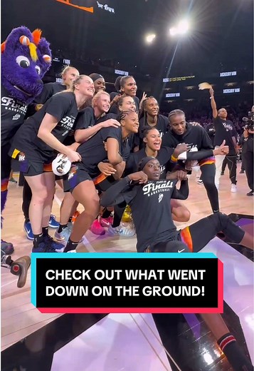 Phoenix Mercury Advance to WNBA Finals: Game 4 Recap