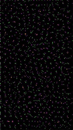 Particle Life Simulation - 2026-02-12