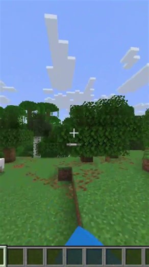 How fast can you fly in minecraft?