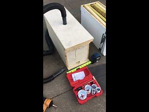 Simple Bee Vacuum That Is Easy To Build