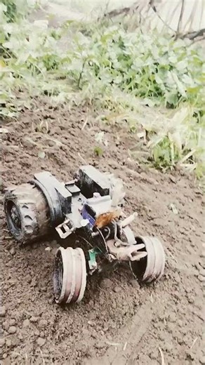 15 ਜਨਵਰੀ 2026