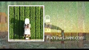 "Let's Talk America: A Conversation with Dr Alan Keyes and Guest Dr Lee Merrit"