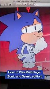 How to Play Multiplayer (Sonic and Seanic edition)