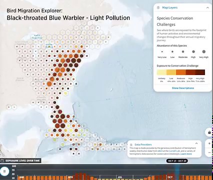 3.8K views · 142 reactions | It's spring and time to welcome back your favorite feathered friends. On World Migratory Bird Day, take a look at the Bird Migration Explorer to find out where your neighborhood birds spent the last few months and learn about the challenges they face. https://bit.ly/3O5A6dJ | National Audubon Society | Facebook
