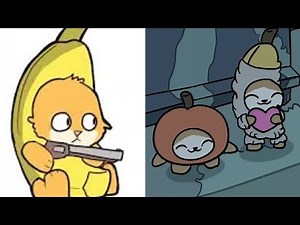 Happy Cats most interesting moments