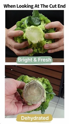 How To Choose Broccoli By Looking At The Cut End Of The Stem