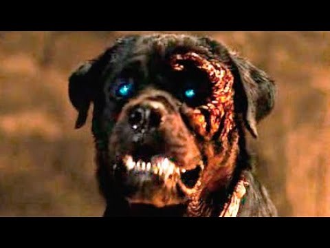 ROTTWEILER (Trailer español)