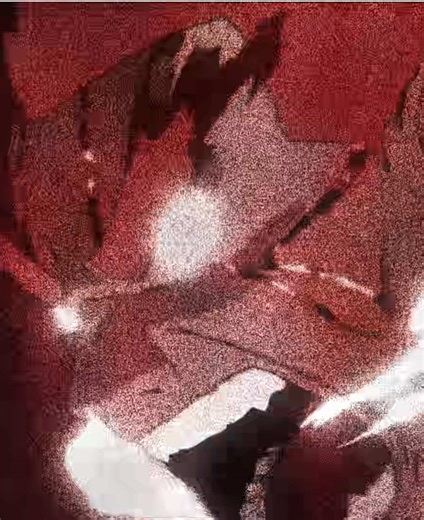 Might Guy Tribute: The Strongest in Taijutsu