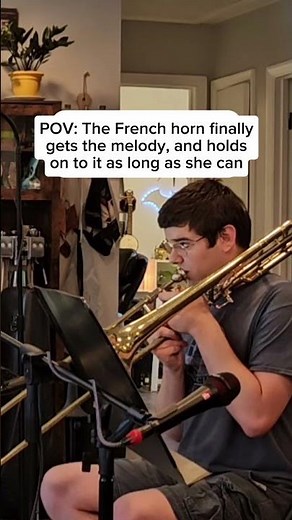 POV: The French horn solo has a fermata