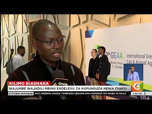 Citizen TV Live