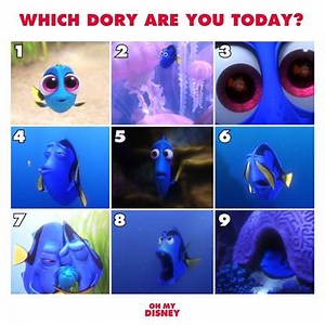 Express yourshell. 🐚 | Dory