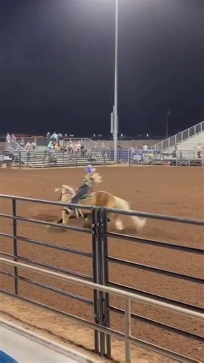 The golden boy is backkk…to the lead in Heber City with a 16.66-second run, it’s Adios Pantalones and Tricia Aldridge (@Red Hot Running Horses ) . All the ProRodeo results are rolling on BarrelRacing.com thanks to @Equinety.