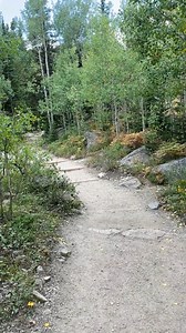 🍂🏔️ A Walk Through Early Fall at Alberta Falls 🏔️🍂 There’s something special about hiking the Alberta Falls trail in early fall — when the air turns cool, the aspens start glowing, and every step feels like the season is shifting right under your feet. Today the trail was alive with color. Golden leaves shaking in the breeze. Sunlight slipping through the branches. That soft crunch under your boots as the path winds toward the waterfall. It wasn’t just a hike… it felt like the park was showi