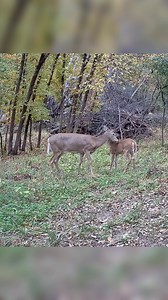 When KIDS Fight BACK!!! | ThisOutdoorsman