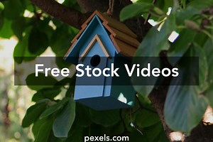 Neck Hanging Videos, Download The BEST Free 4k Stock Video Footage & Neck Hanging HD Video Clips