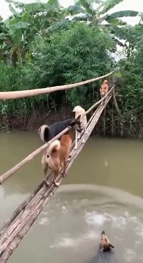 How to Redeem a Roblox Gift Card (2025 Guide) | Free Robux Tips!