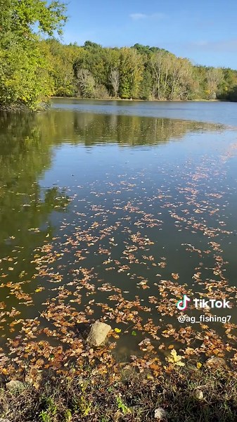 Autumn Arc 🐊🍂 #fishing #autumn #pike