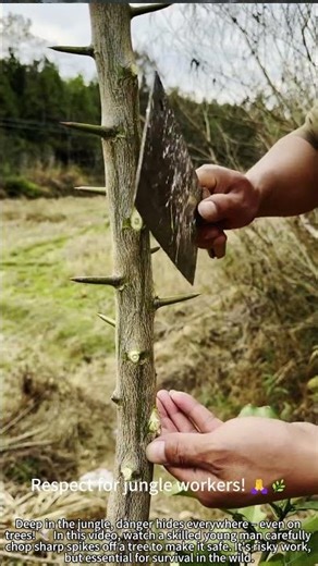 Chop Tree Spikes: Dangerous Jungle Survival! 🔪🌿