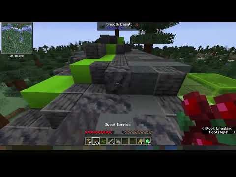 Crazy Modded Minecraft on Java Edition with Gamer 28!