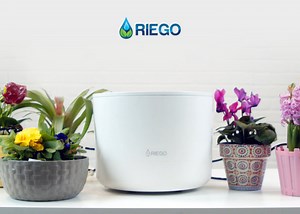 Riego automatic house plant watering system