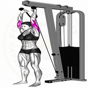 Bicep-Tricep Superset Surge #fblifestyle | Full workout