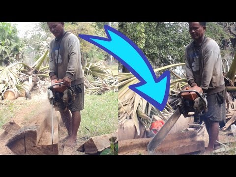 The Most Satisfying Palm Tree Cutting ASMR You'll Ever See