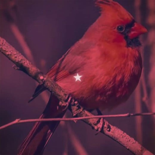 Red is a beautiful color if you think about it!