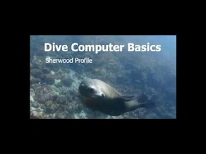 Sherwood Computer Dive Basics Video.avi