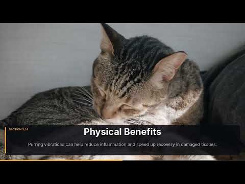 Can Cats Purr Heal Humans?