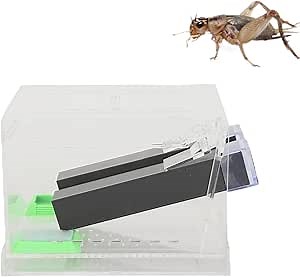 Cricket Keeper, Cricket Keeper Tank Box Safe and Non- Easy to for Home for Office(L)