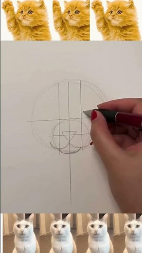 Katze zeichnen für Anfänger 🐱 - zeichnen lernen #shorts #skizzieren #tutorial #zeichnen