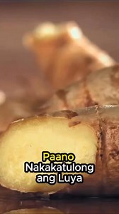 14K views · 885 reactions | Do you have diabetes? Ginger may help you normalize your blood sugar. | Dr. Farrah | Facebook