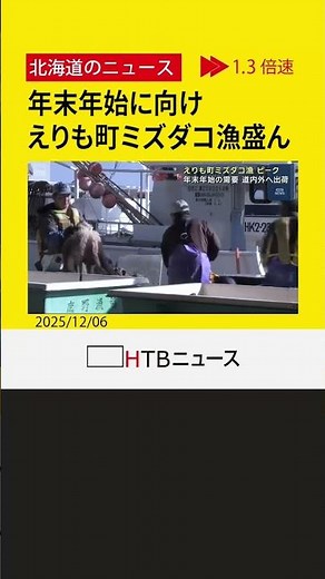 酢ダコに刺身…年末年始に向けミズダコ漁盛ん 北海道えりも町 漁獲量は例年並み