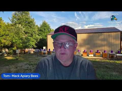 Time to close up the hives for colder weather. Adding shims and food